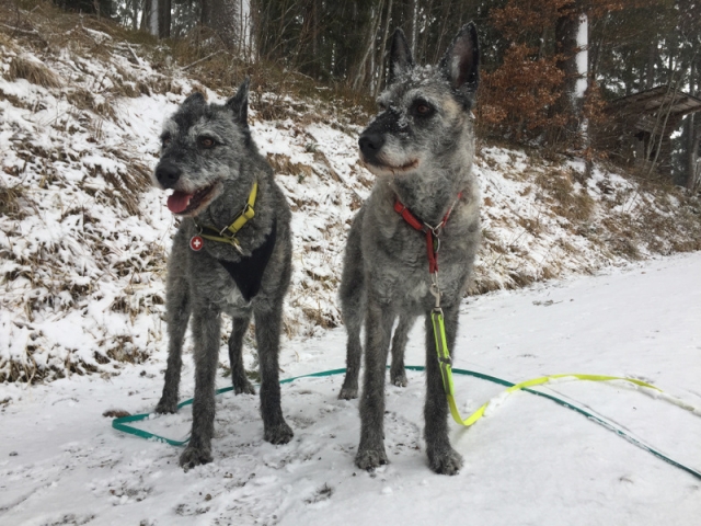 Kiki und Lani