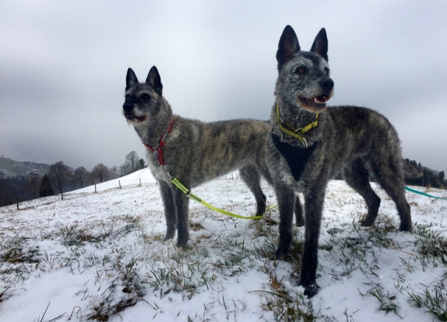 Lani und Kiki