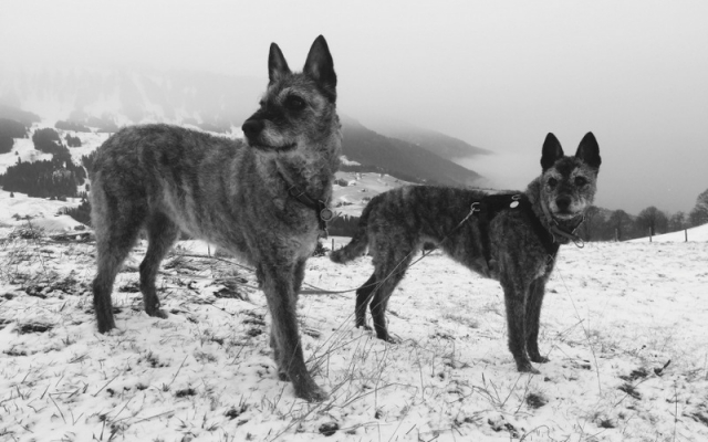 Lani und Kiki