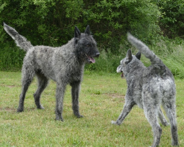 Kiki und Ace Cool