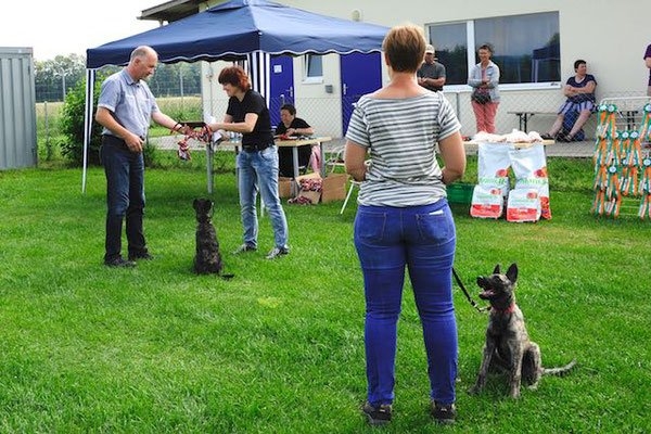WCI Scotty und Kira