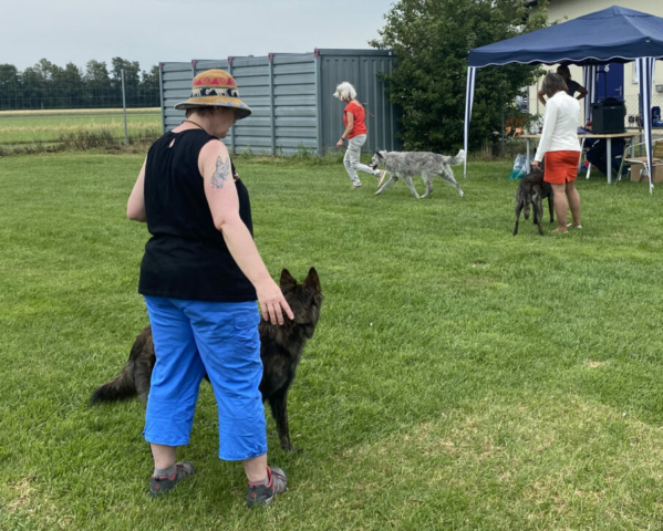 Best in Show