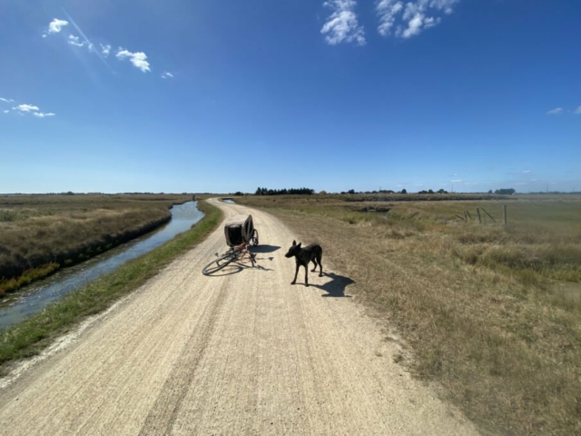 Pays de la Loire