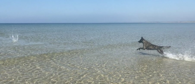 Normandie