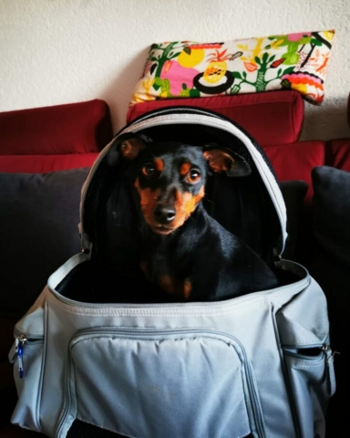 Ich bin bereit, es kann losgehen!