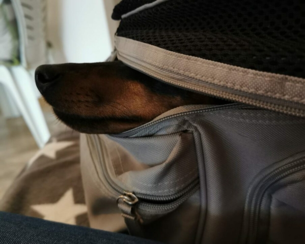 So anstrengend ;-)