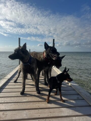 Luci in Dänemark