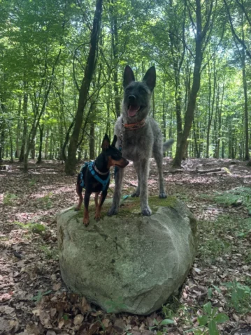 Luci in Schweden